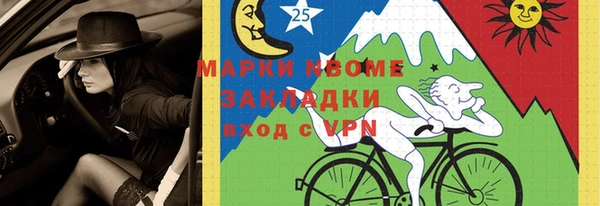 индика Гусь-Хрустальный