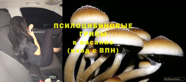 Альфа ПВП Горнозаводск