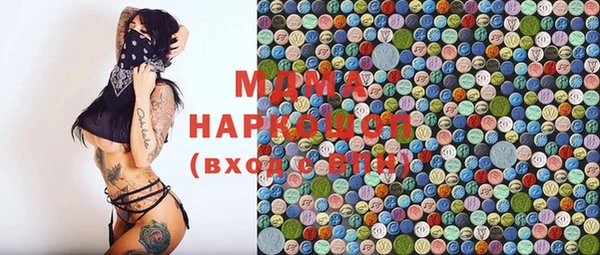 индика Гусь-Хрустальный