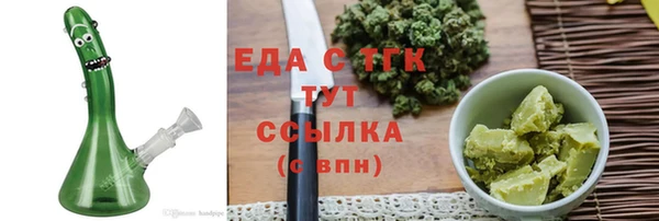 индика Гусь-Хрустальный