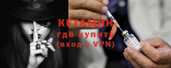 индика Гусь-Хрустальный