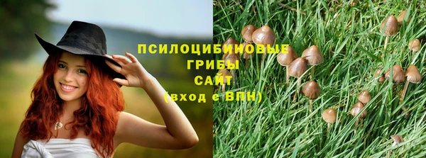 наркотики Горняк