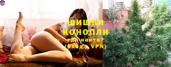 индика Гусь-Хрустальный