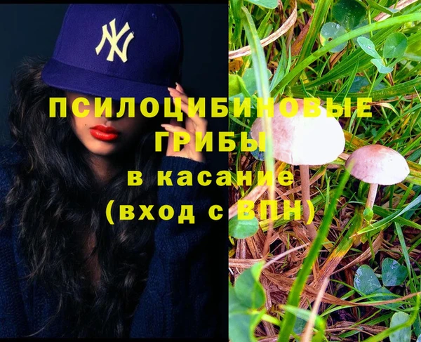гашик Усолье-Сибирское