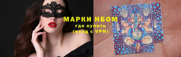 индика Гусь-Хрустальный